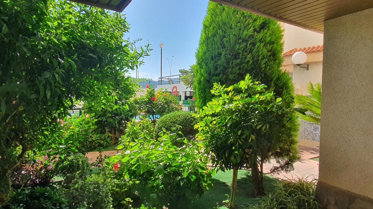 Апартаменти Jardines Gandia- Solo Familias Playa de Gandia Екстер'єр фото